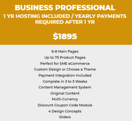 Business Professional Pack Page